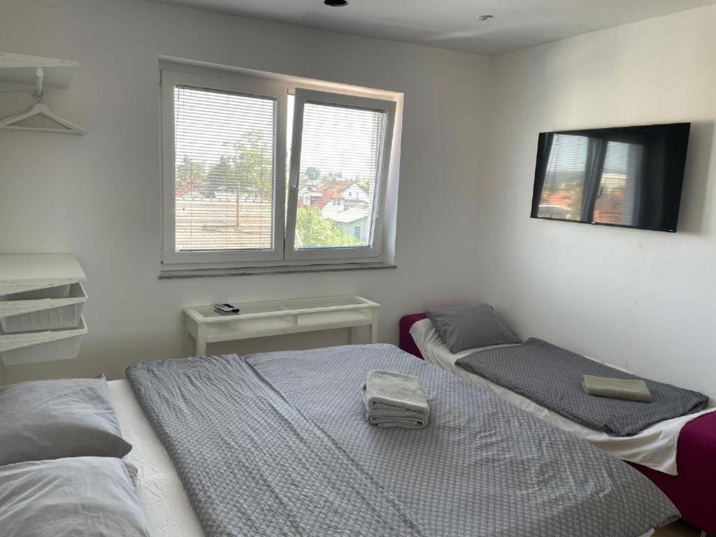 R41 - Tivoli Groundfloor Apartment Lublaň Exteriér fotografie