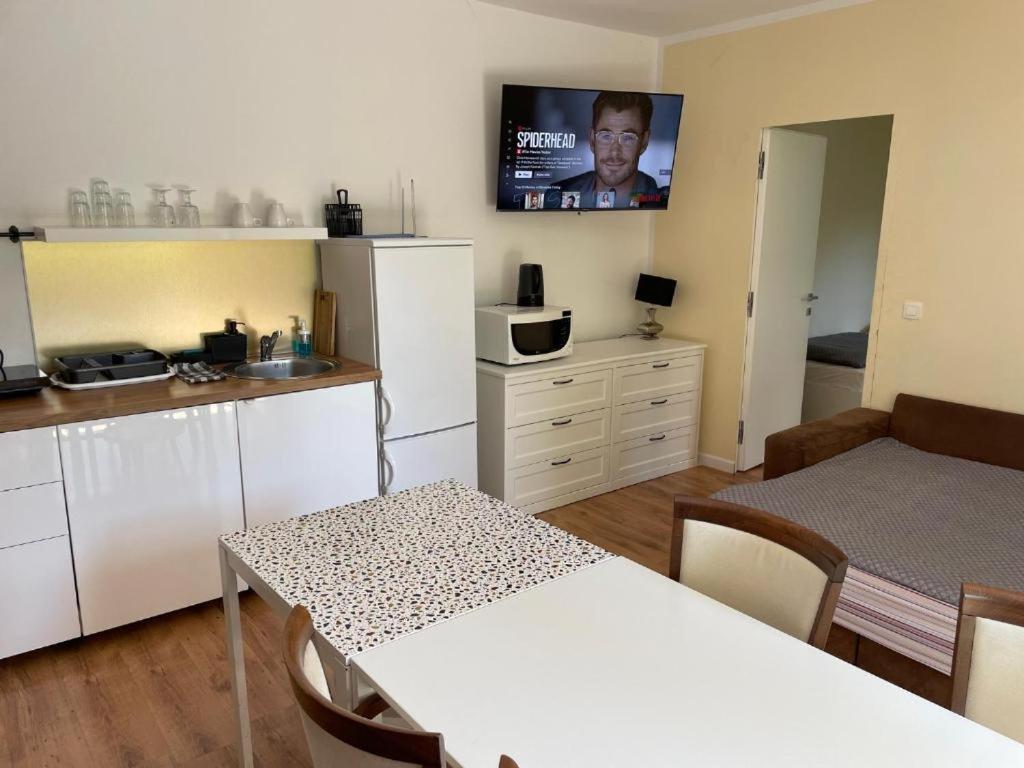 R41 - Tivoli Groundfloor Apartment Lublaň Exteriér fotografie